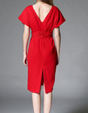 Sleeveless tailored mid-length dress (More colours)